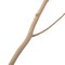 Uniquewise 47 Natural Dry Branches Authentic Willow Sticks for Home Decoration and Wedding Craft, White QI004415.WT - alternate 3